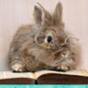 Meet your Posher, Nicole tamar